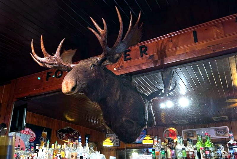 Forester Inn - Photo From Web Listing (newer photo)